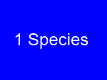 Foto Galerie/AAA/Species_01.png